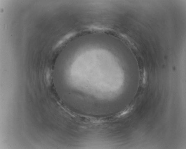 X0000082711157200702232248