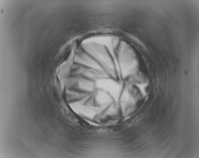 X0000082711160200702232248