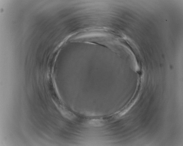 X0000082711161200702232248