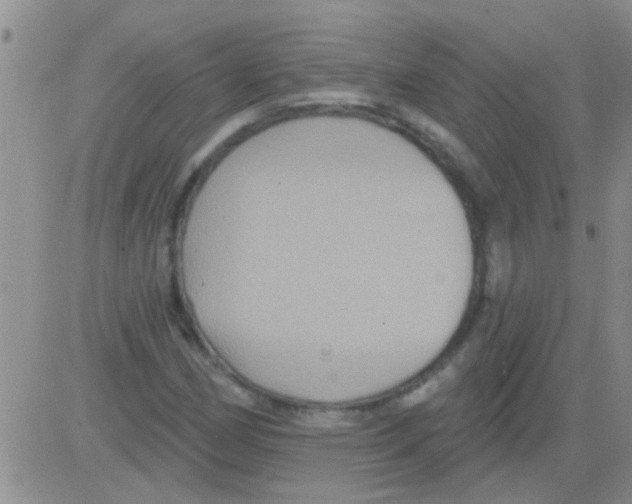 X0000082711162200702232248