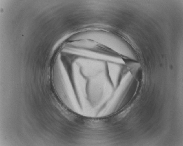 X0000082711164200702232248