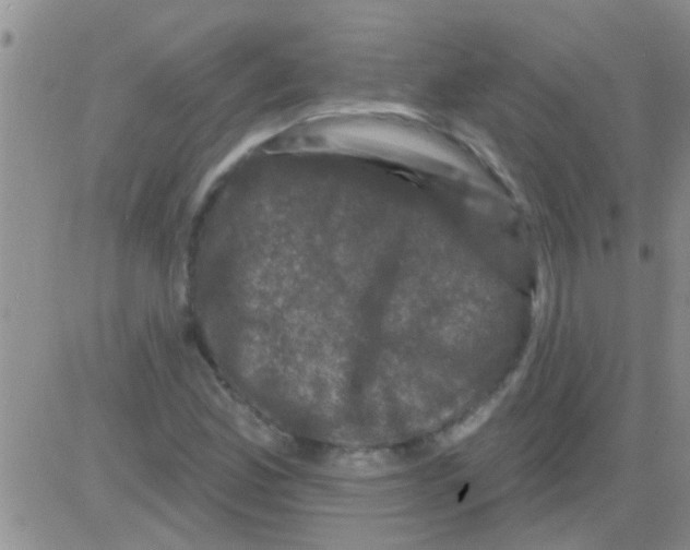 X0000082711165200702232248