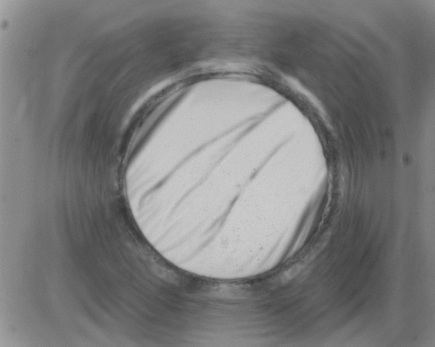 X0000082711166200702232248