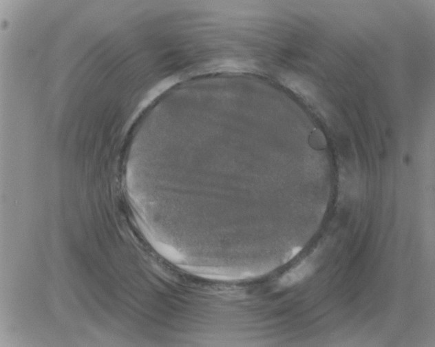 X0000082711170200702232248