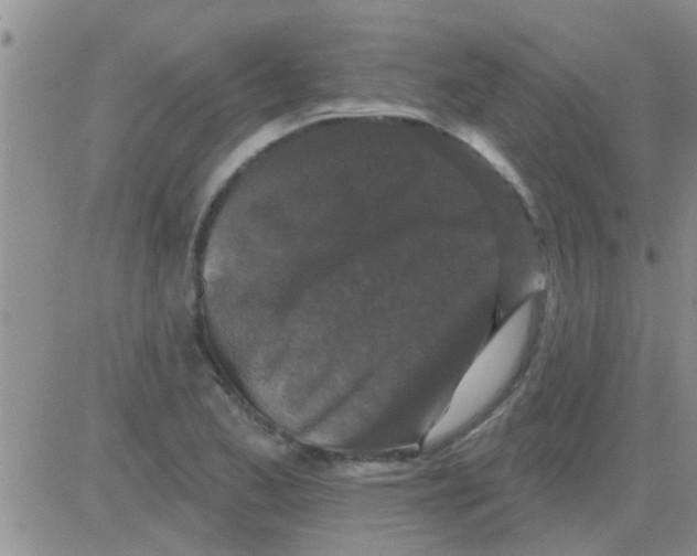 X0000082711173200702232248