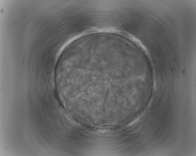 X0000082711174200702232248