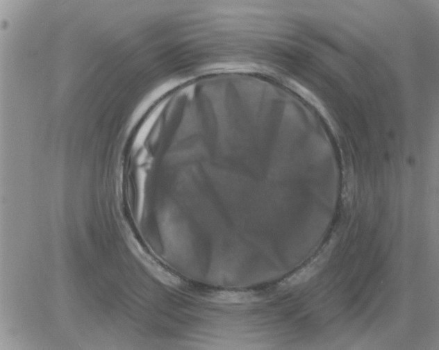 X0000082711179200702232248