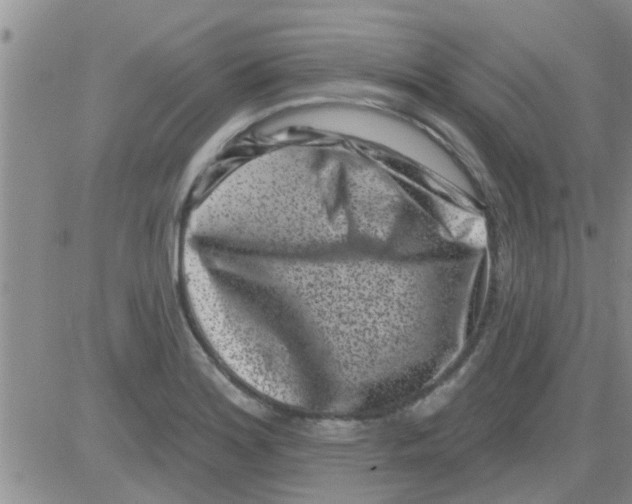 X0000082711180200702232248