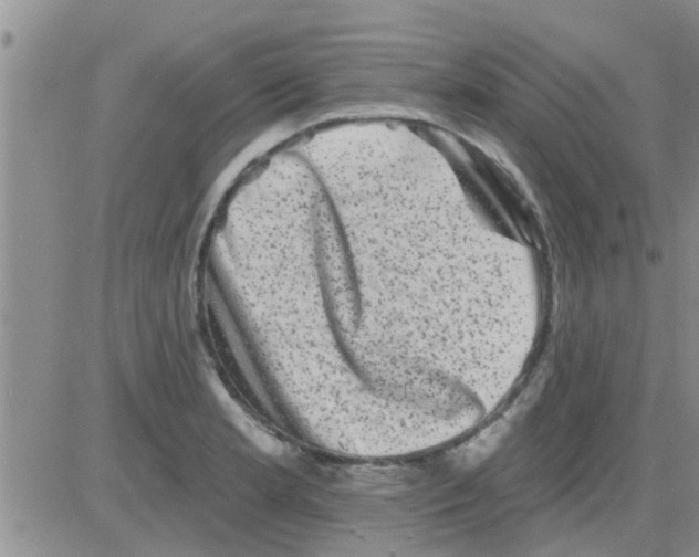 X0000082711181200702232248