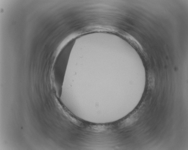 X0000082711182200702232248