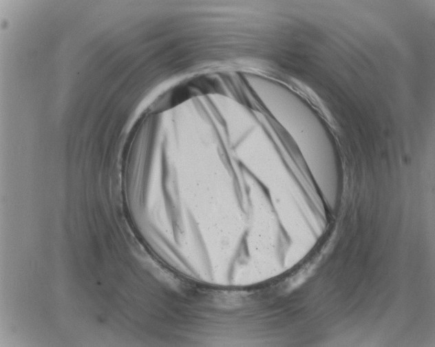 X0000082711184200702232248