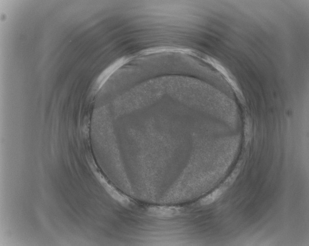 X0000082711185200702232248