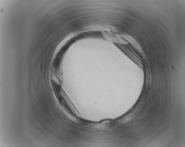 X0000082711188200702232248