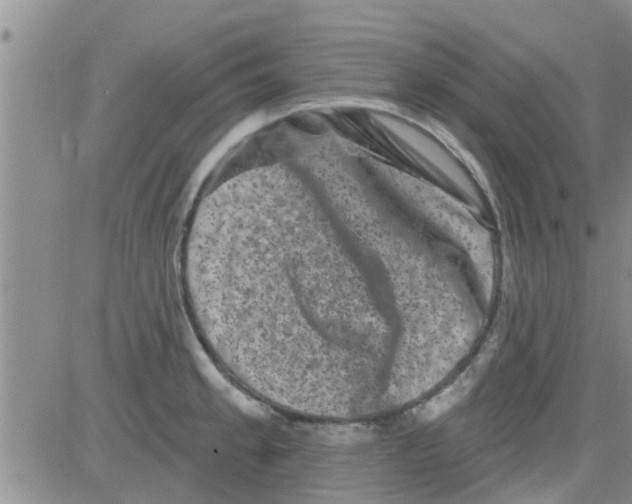 X0000082711189200702232248