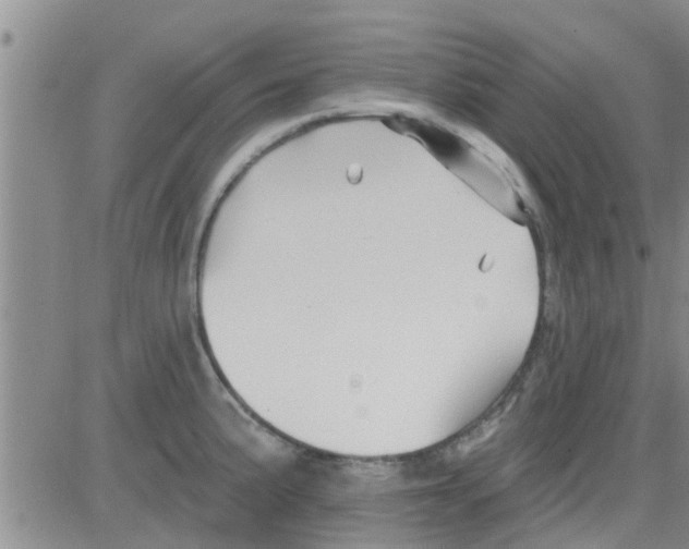 X0000082711191200702232248