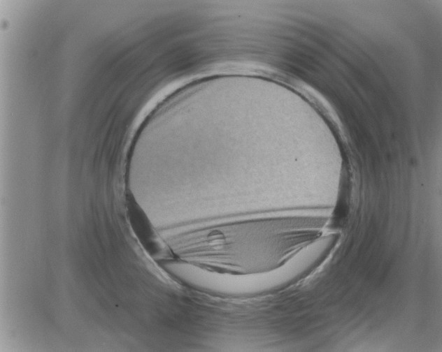 X0000082711192200702232248