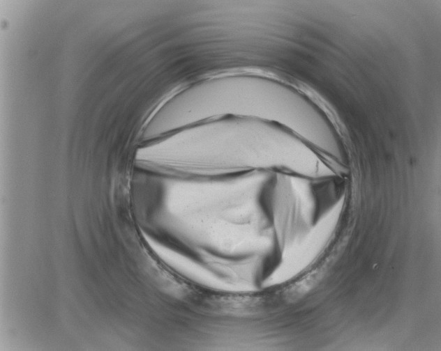 X0000082711193200702232248