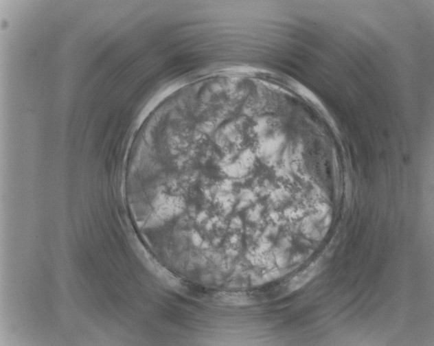 X0000082711194200702232248