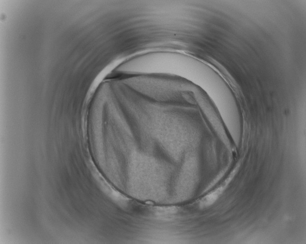 X0000082711196200702232248