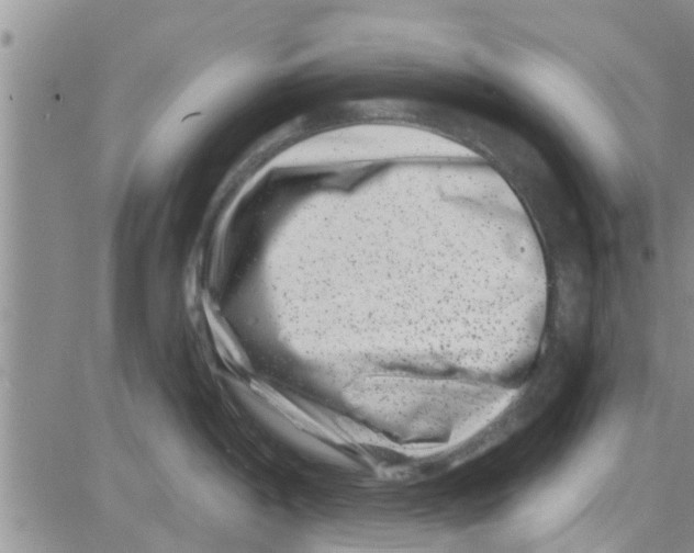 X0000082711198200702232248