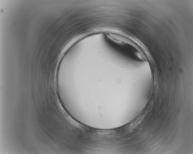 X0000082711199200702232248