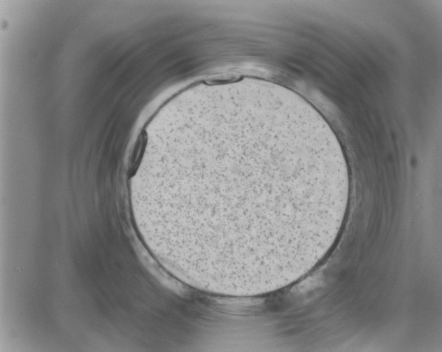 X0000082711200200702232248