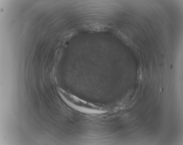 X0000082711202200702232247