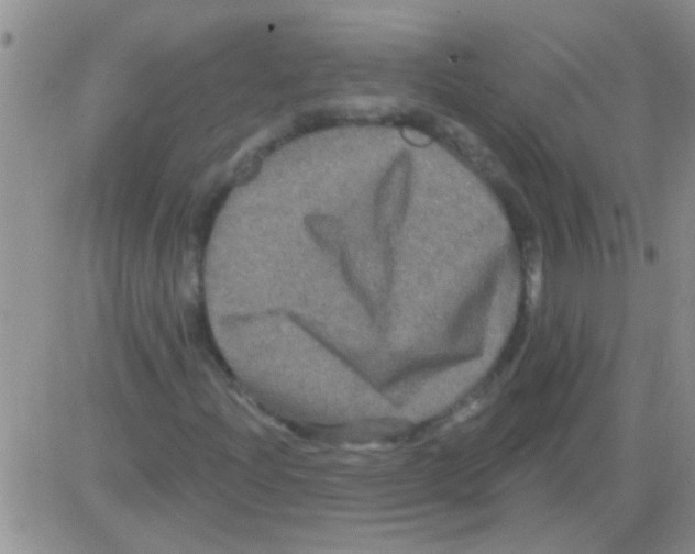 X0000082711204200702232247