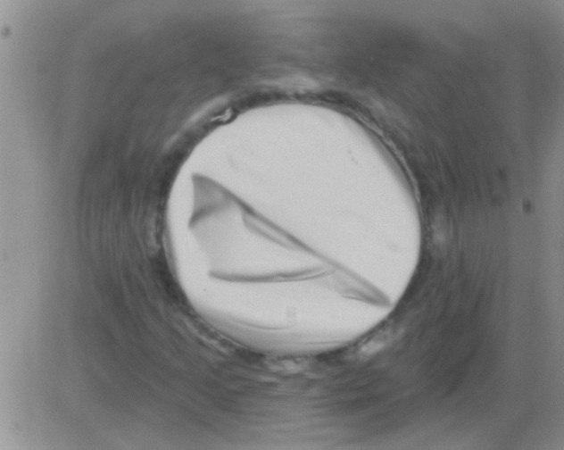 X0000082711205200702232247