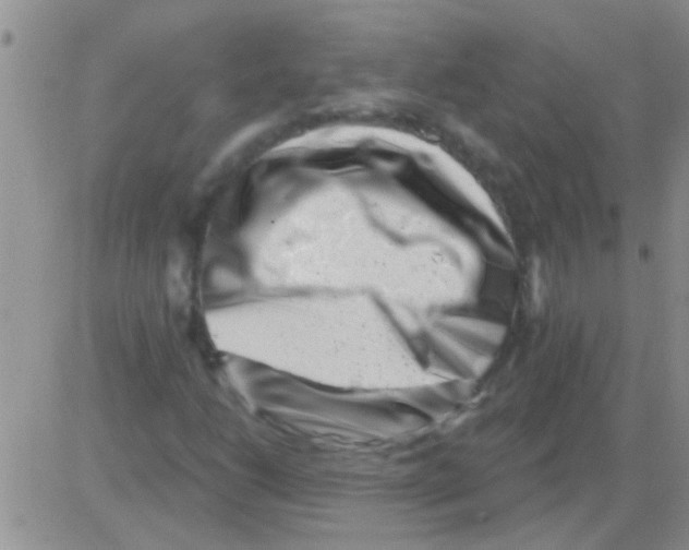 X0000082711206200702232247