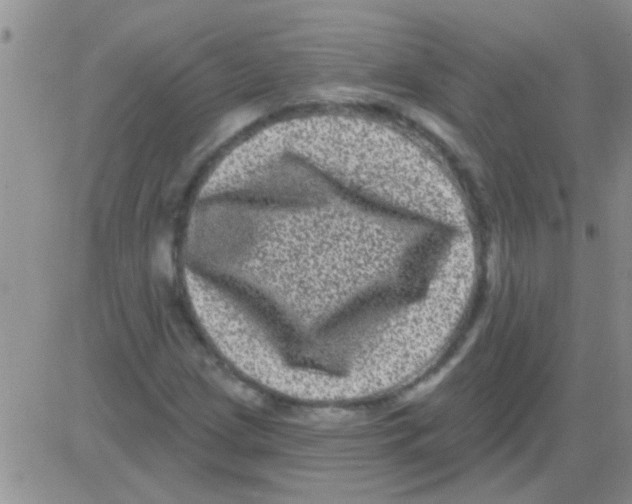 X0000082711209200702232247