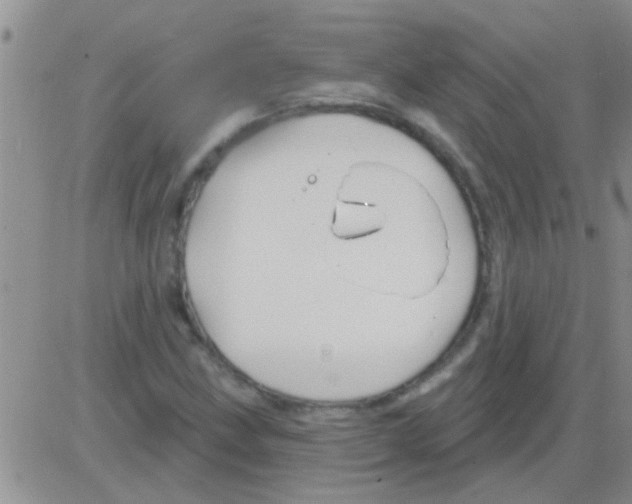 X0000082711211200702232247