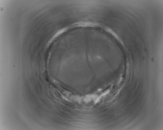 X0000082711213200702232247