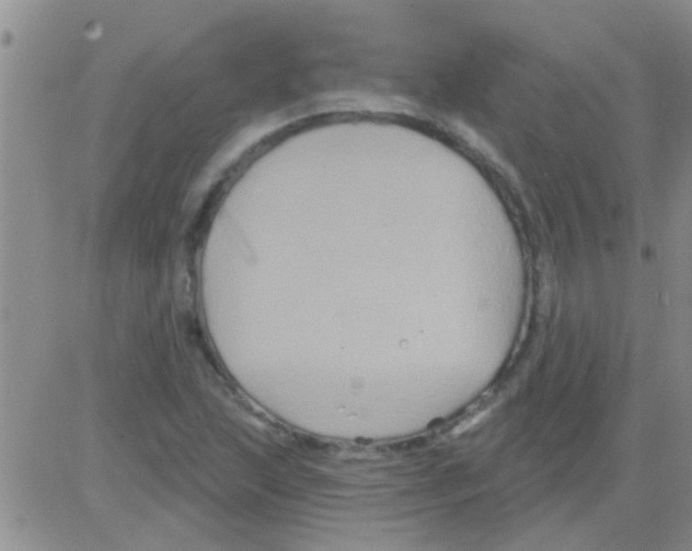 X0000082711215200702232247