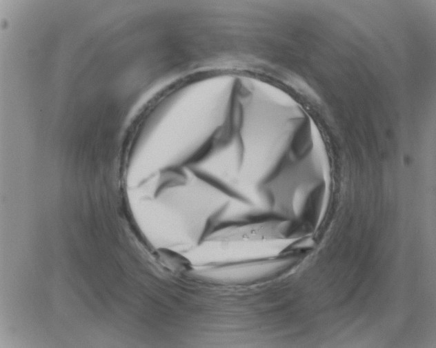 X0000082711216200702232247