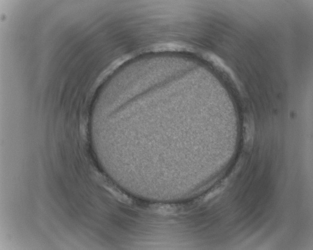 X0000082711217200702232247