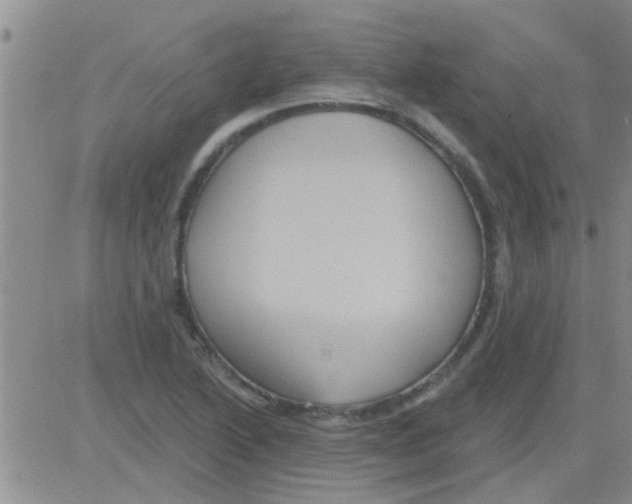 X0000082711222200702232247