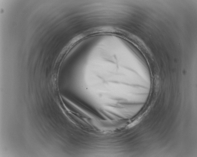 X0000082711225200702232247