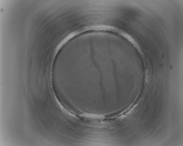 X0000082711229200702232247