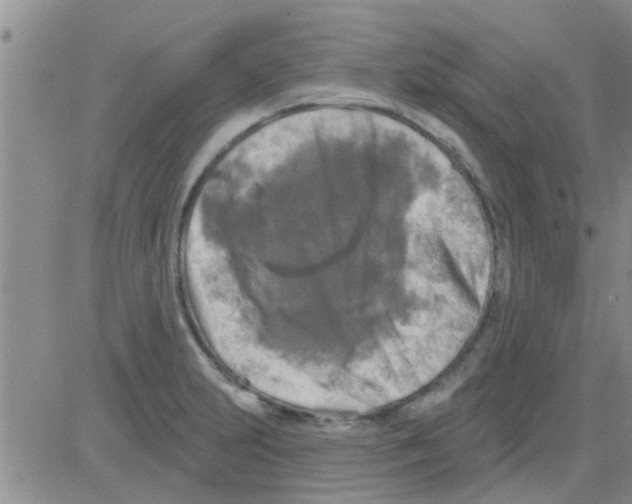 X0000082711231200702232247