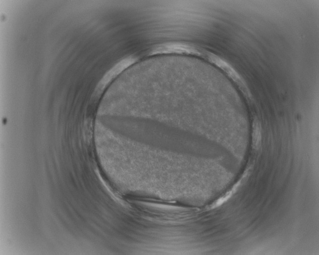 X0000082711233200702232247