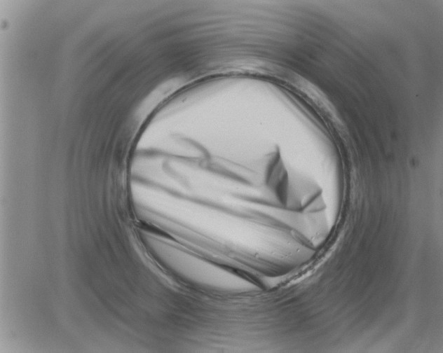 X0000082711234200702232247