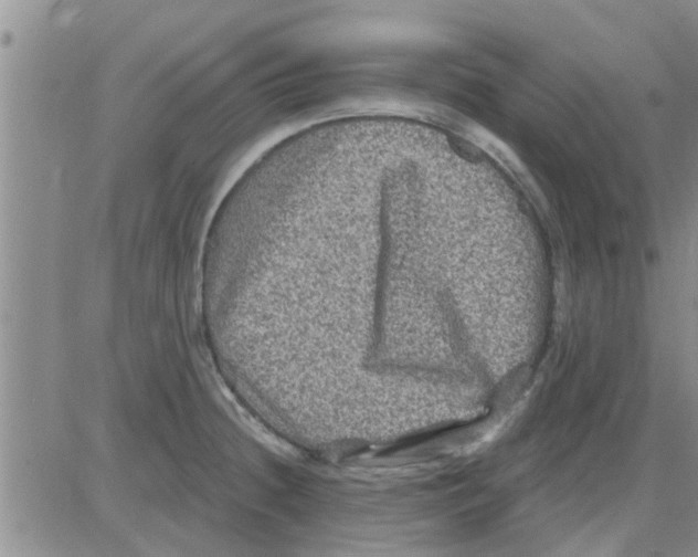 X0000082711236200702232248