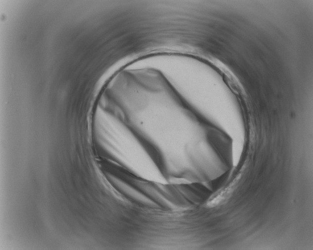 X0000082711238200702232248