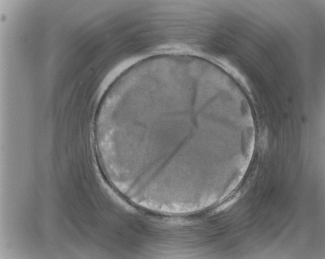 X0000082711239200702232248