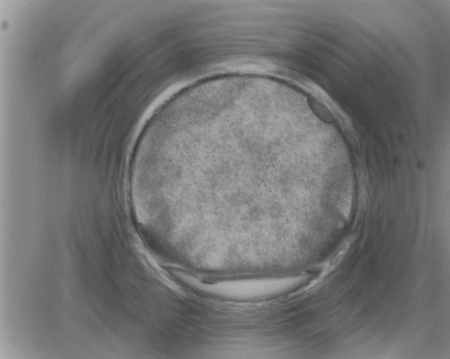 X0000082711240200702232248