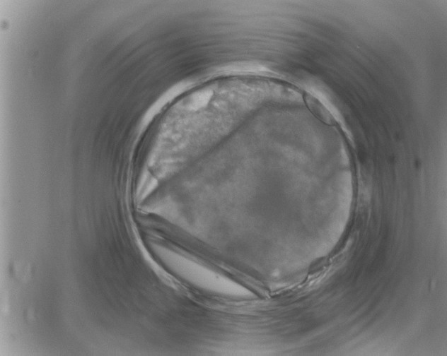 X0000082711245200702232248