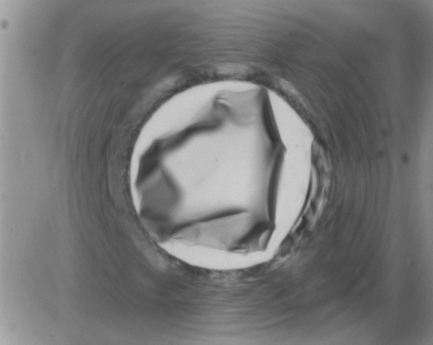 X0000082711249200702232247