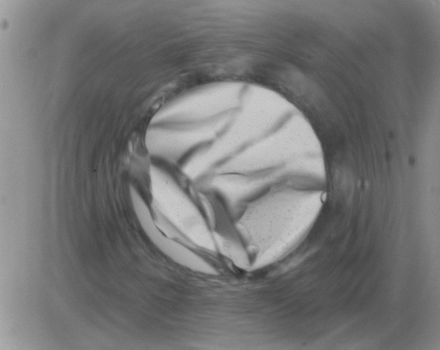 X0000082711250200702232247