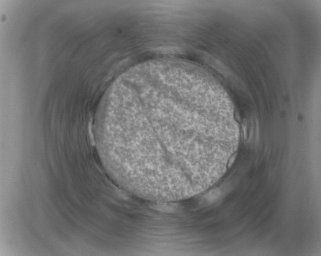 X0000082711251200702232247